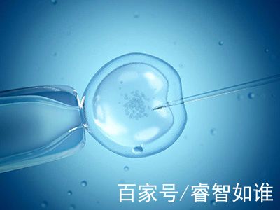 冷冻室